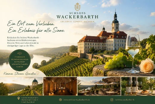 1. Tag – Winterzauber zwischen Weinbergen und Schlossromantik